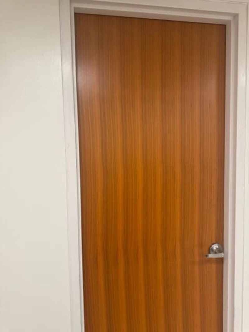 Veneer office wood door
