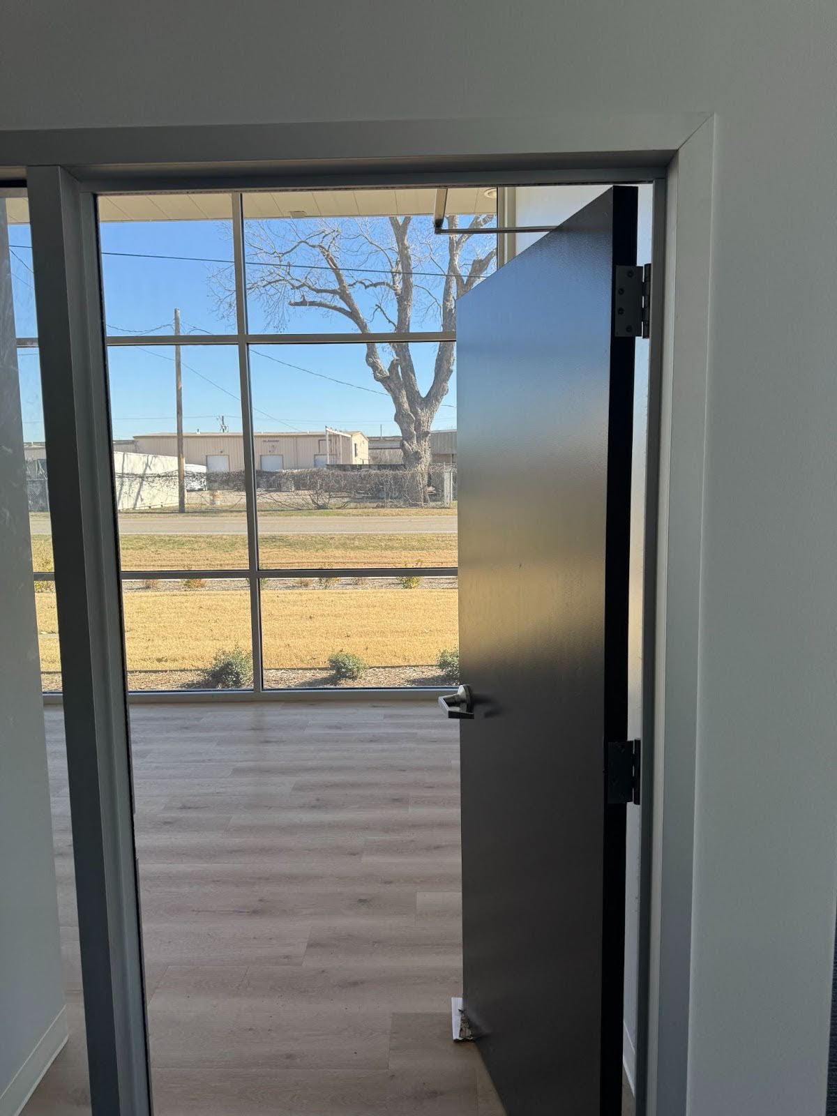 Black painted commercial wood door