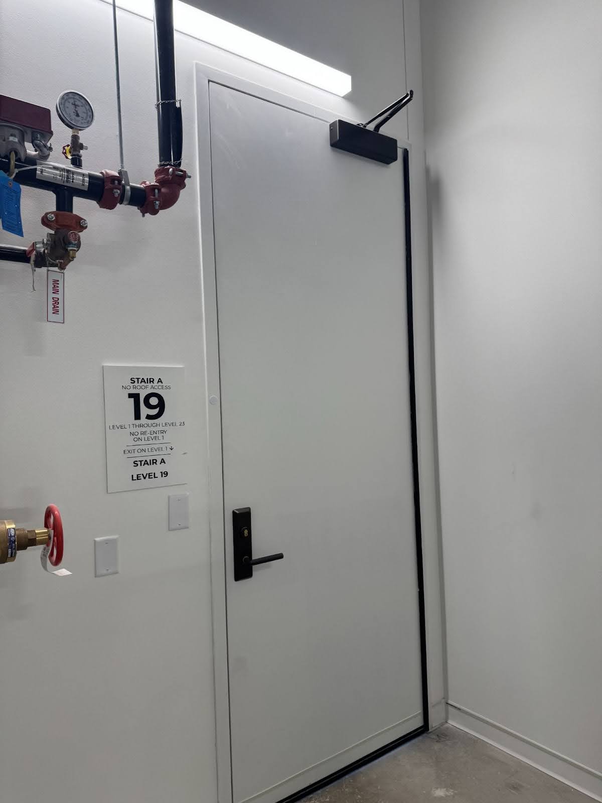 Fire rated wood door