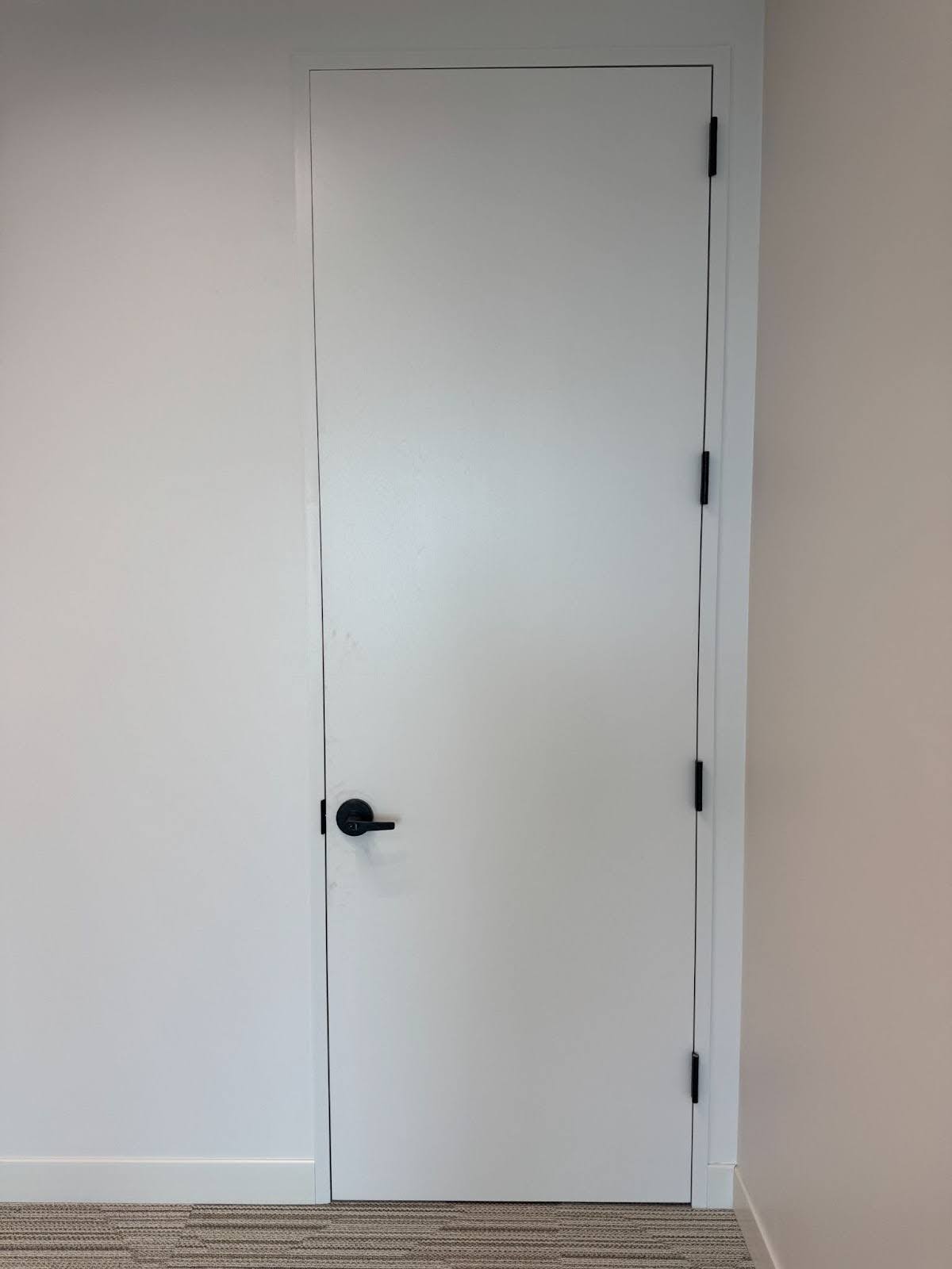 Interior commercial painted wood door