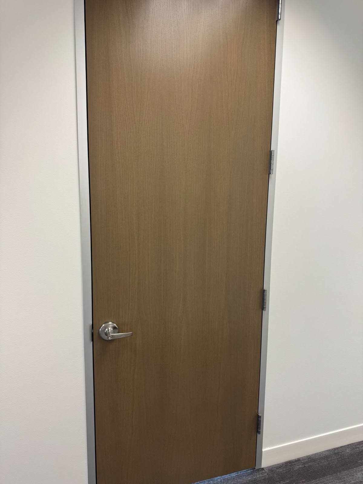 Laminart plastic laminate door