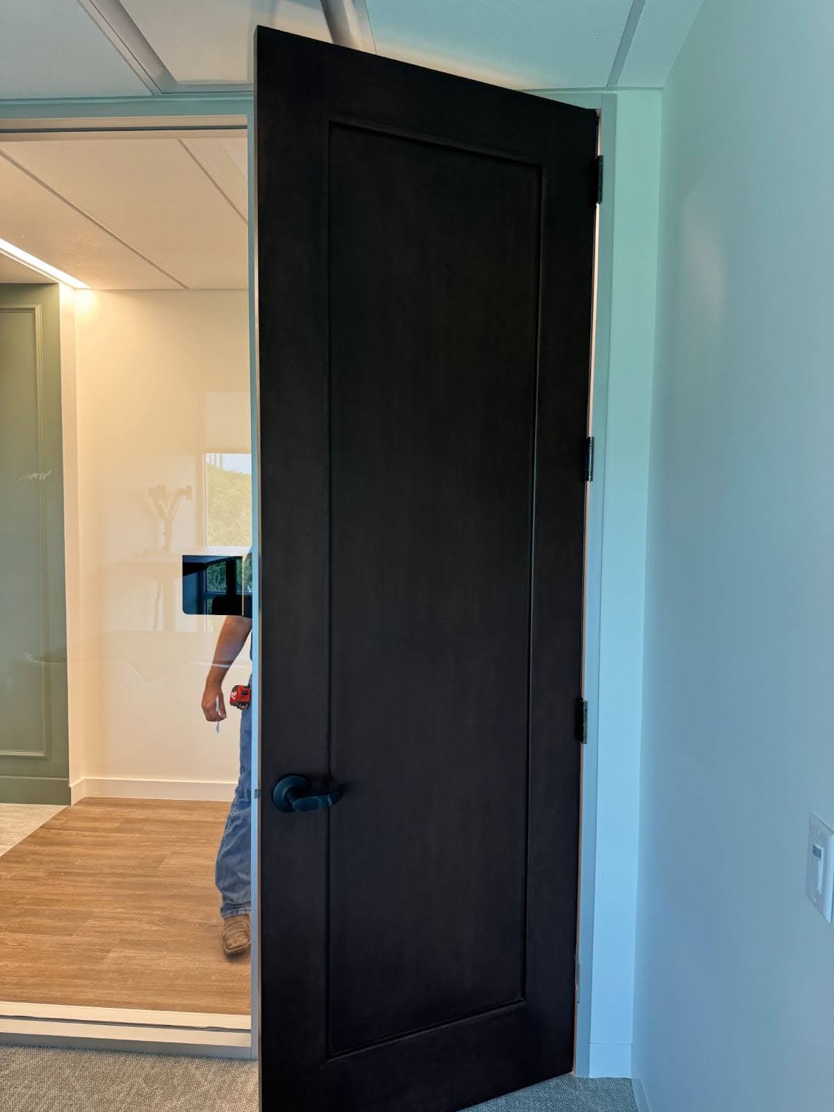 Single panel commercial wood door